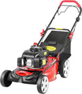 Benzinmotor und Rasenmähermotor: 51 cm, 5PS, für die Gartenpflege