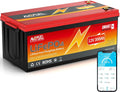 LiFePO4 LiFePO4-Batterie und Solar-Speicherbatterie, 300Ah, mit BMS, mit Bluetooth, 12V, für Camping und Wohnmobil